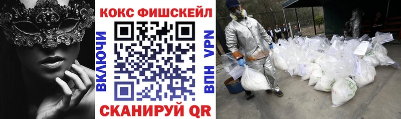 Купить где  Липки  COCAIN Fish Scale 