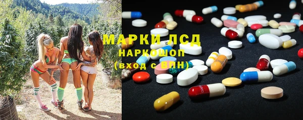 спиды Магас