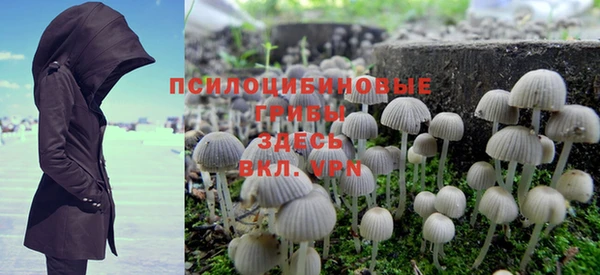 мет Медвежьегорск