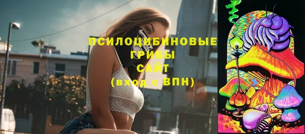 спайс Медногорск