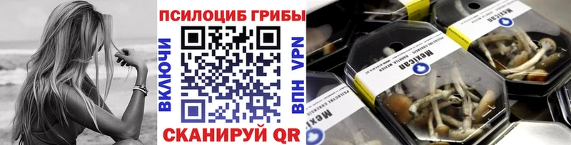 Галлюциногенные грибы прущие грибы  Купить  Липки 